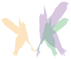De reiger